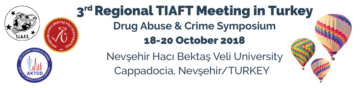 Regional Meeting in Turkey